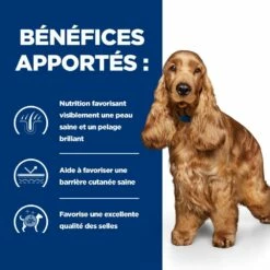 HILL'S Prescription Diet Z/d Food Sensitivities En Boîtes - Pâtée Pour Chien -Promos Wanimo Boutique hill s prescription diet z d food sensitivities en boites patee pour chien 1 4