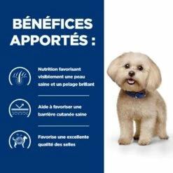 HILL'S Prescription Diet Z/d Food Sensitivities Mini - Croquettes Pour Chien -Promos Wanimo Boutique hill s prescription diet z d food sensitivities mini croquettes pour chien 1 3