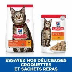 HILL'S Science Plan Adult En Sachets Au Poulet & Au Boeuf - Pâtée Pour Chat -Promos Wanimo Boutique hill s science plan adult en sachets au poulet au boeuf patee pour chat 1 7