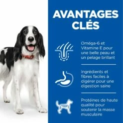 HILL'S Science Plan All Breed Adult En Boîtes Au Poulet Ou Au Boeuf - Pâtée Pour Chien -Promos Wanimo Boutique hill s science plan all breed adult en boites au poulet ou au boeuf patee pour chien 1 2