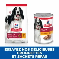 HILL'S Science Plan All Breed Adult En Boîtes Au Poulet Ou Au Boeuf - Pâtée Pour Chien -Promos Wanimo Boutique hill s science plan all breed adult en boites au poulet ou au boeuf patee pour chien 1 4