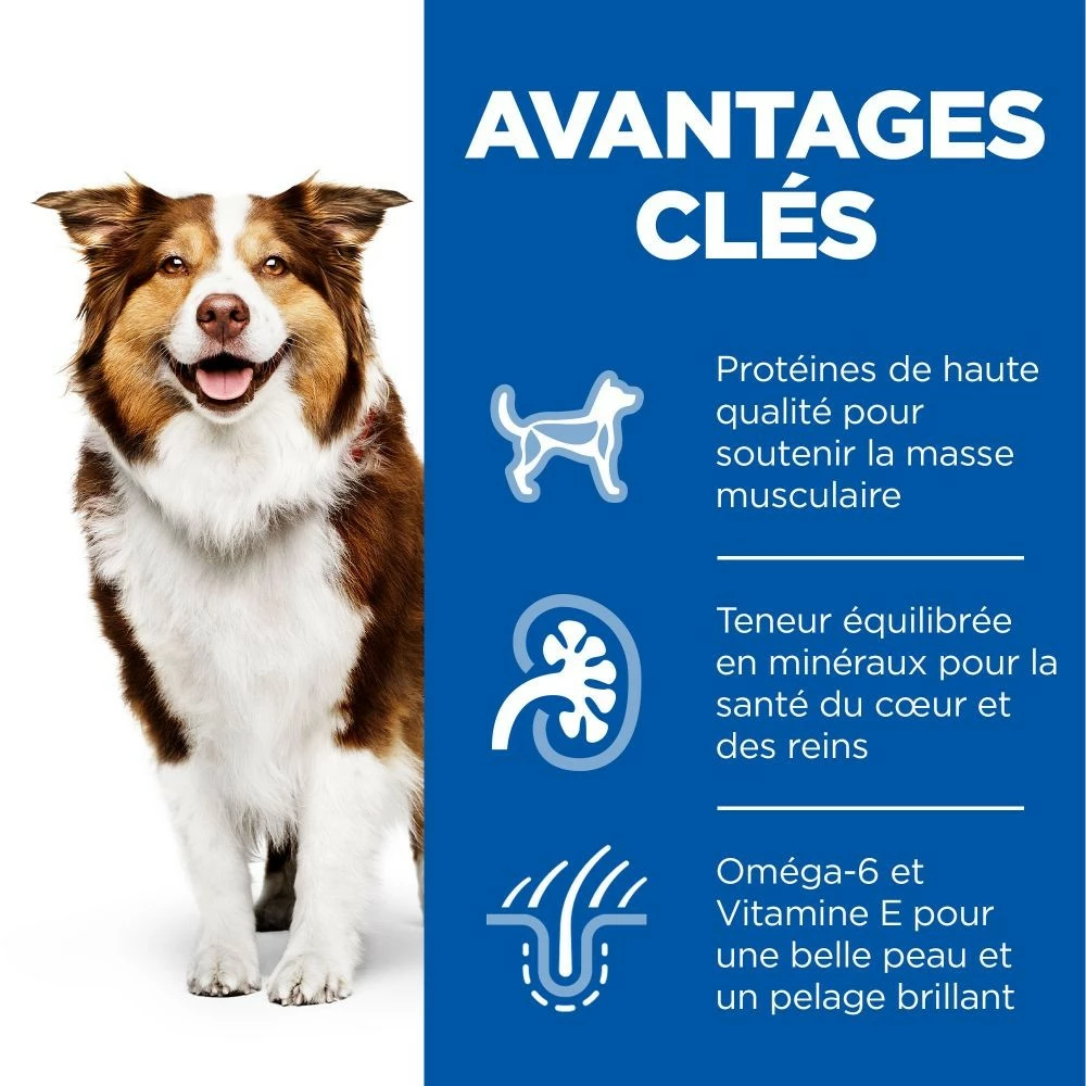 HILL'S Science Plan All Breed Mature Adult 7+ En Boîtes Au Poulet - Patée Pour Chien 3 HILL'S Science Plan All Breed Mature Adult 7+ En Boîtes Au Poulet - Patée Pour Chien – Image 3