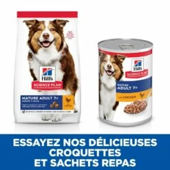 HILL'S Science Plan All Breed Mature Adult 7+ En Boîtes Au Poulet - Patée Pour Chien 10 HILL'S Science Plan All Breed Mature Adult 7+ En Boîtes Au Poulet - Patée Pour Chien -Promos Wanimo Boutique hill s science plan all breed mature adult en boites au poulet patee pour chien 1 4