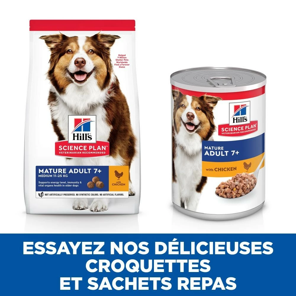 HILL'S Science Plan All Breed Mature Adult 7+ En Boîtes Au Poulet - Patée Pour Chien 5 HILL'S Science Plan All Breed Mature Adult 7+ En Boîtes Au Poulet - Patée Pour Chien – Image 5