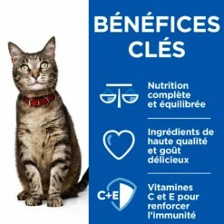 Hill's Science Plan Healthy Cuisine Adult En Mijotés Au Poulet & Au Saumon - Pâtée Pour Chat -Promos Wanimo Boutique hill s science plan healthy cuisine adult en mijotes au poulet au saumon patee pour chat 1 9