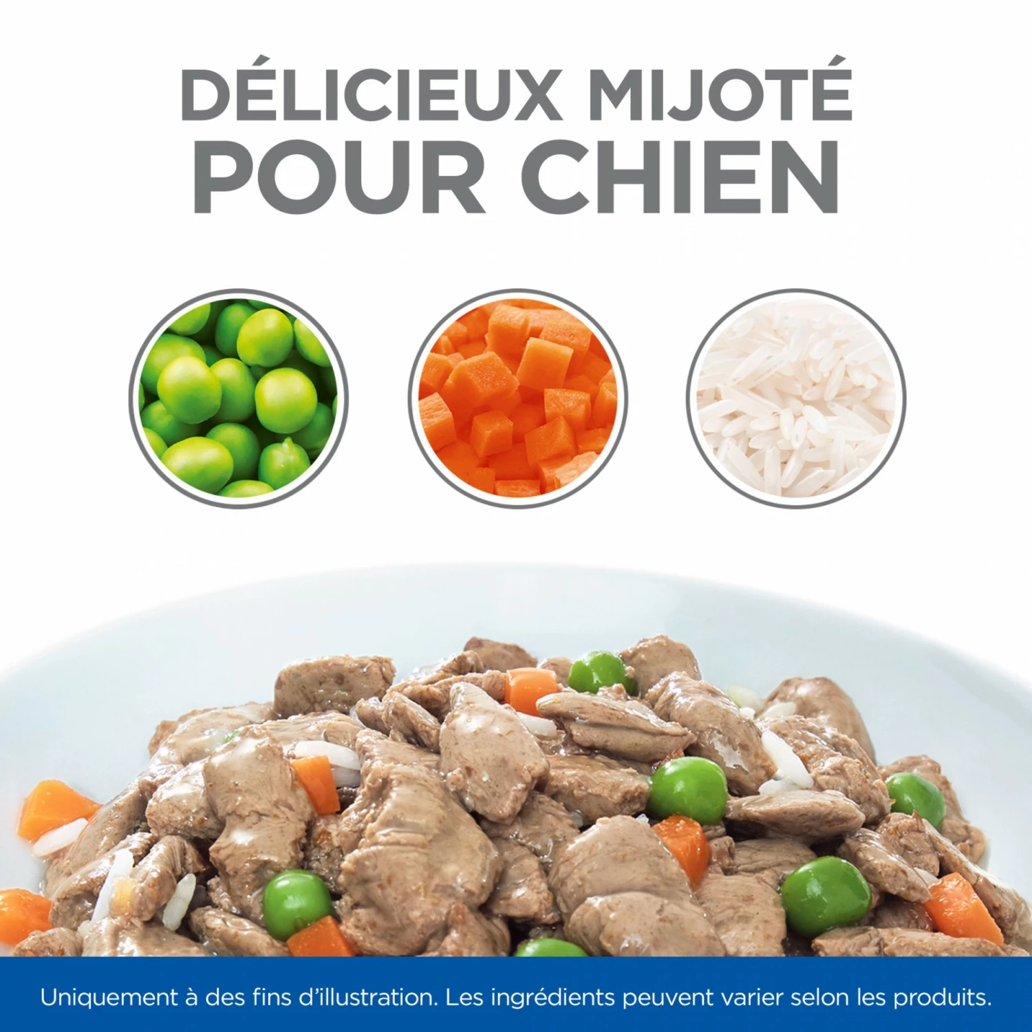 HILL'S Science Plan Healthy Cuisine Medium & Large Adult En Mijotés – Pâtée Pour Chien 15 HILL'S Science Plan Healthy Cuisine Medium & Large Adult En Mijotés – Pâtée Pour Chien – Image 15