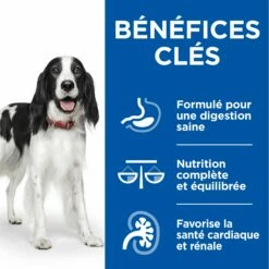 HILL'S Science Plan Healthy Cuisine Medium & Large Adult En Mijotés – Pâtée Pour Chien 22 HILL'S Science Plan Healthy Cuisine Medium & Large Adult En Mijotés – Pâtée Pour Chien -Promos Wanimo Boutique hill s science plan healthy cuisine medium large adult en mijotes patee pour chien 1 5