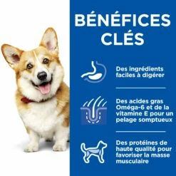 HILL'S Science Plan Healthy Cuisine Small & Mini Adult En Mijotés Au Poulet & Au Boeuf - Pâtée Pour Chien -Promos Wanimo Boutique hill s science plan healthy cuisine small mini adult en mijotes au poulet au boeuf patee pour chien 1 8