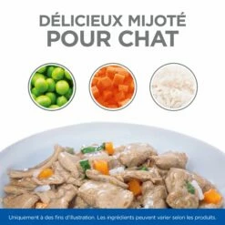 HILL'S Science Plan Healthy Cuisine Sterilised Adult En Mijotés Au Poulet & Au Saumon - Pâtée Pour Chat -Promos Wanimo Boutique hill s science plan healthy cuisine sterilised adult en mijotes au poulet au saumon patee pour chat 1 6