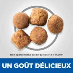 HILL'S Science Plan Healthy Mobility Large Adult Au Poulet - Croquettes Pour Chien -Promos Wanimo Boutique hill s science plan healthy mobility large adult au poulet croquettes pour chien 1 3