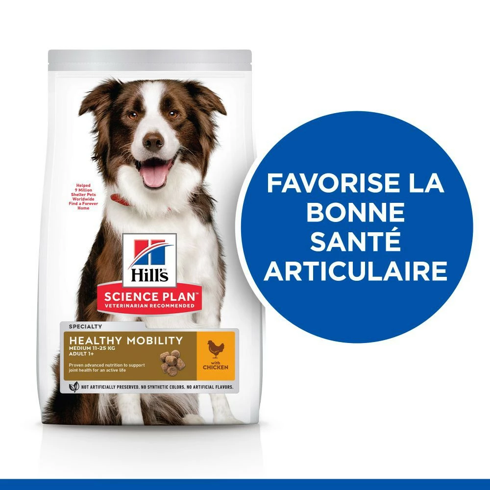 HILL'S Science Plan Healthy Mobility Medium Adult Au Poulet - Croquettes Pour Chien 2 HILL'S Science Plan Healthy Mobility Medium Adult Au Poulet - Croquettes Pour Chien – Image 2