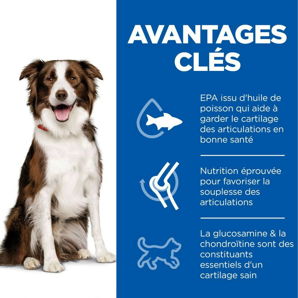 HILL'S Science Plan Healthy Mobility Medium Adult Au Poulet - Croquettes Pour Chien 3 HILL'S Science Plan Healthy Mobility Medium Adult Au Poulet - Croquettes Pour Chien – Image 3