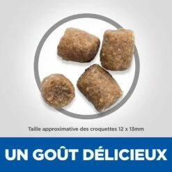HILL'S Science Plan Healthy Mobility Medium Adult Au Poulet - Croquettes Pour Chien 8 HILL'S Science Plan Healthy Mobility Medium Adult Au Poulet - Croquettes Pour Chien -Promos Wanimo Boutique hill s science plan healthy mobility medium adult au poulet croquettes pour chien 1 3