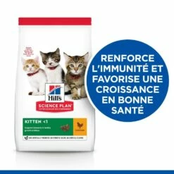HILL'S Science Plan Kitten Au Poulet - Croquettes Pour Chaton -Promos Wanimo Boutique hill s science plan kitten au poulet croquettes pour chaton 1 2