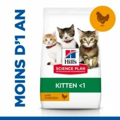 HILL'S Science Plan Kitten Au Poulet - Croquettes Pour Chaton -Promos Wanimo Boutique hill s science plan kitten au poulet croquettes pour chaton 1 4