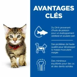 HILL'S Science Plan Kitten Au Thon - Croquettes Pour Chaton -Promos Wanimo Boutique hill s science plan kitten au thon croquettes pour chaton 1 2