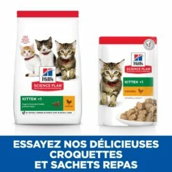 HILL'S Science Plan Kitten En Sachets - Pâtée Pour Chaton -Promos Wanimo Boutique hill s science plan kitten en sachets patee pour chaton 1 9