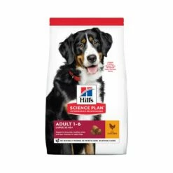 HILL'S Science Plan Large Adult Au Poulet - Croquettes Pour Chien