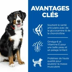 HILL'S Science Plan Large Adult Au Poulet - Croquettes Pour Chien -Promos Wanimo Boutique hill s science plan large adult au poulet croquettes pour chien 1 2