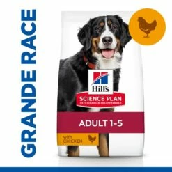 HILL'S Science Plan Large Adult Au Poulet - Croquettes Pour Chien -Promos Wanimo Boutique hill s science plan large adult au poulet croquettes pour chien 1 3