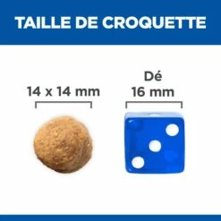HILL'S Science Plan Large Adult Au Poulet - Croquettes Pour Chien -Promos Wanimo Boutique hill s science plan large adult au poulet croquettes pour chien 1 4