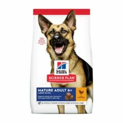HILL'S Science Plan Large Mature Adult 6+ Au Poulet - Croquettes Pour Chien