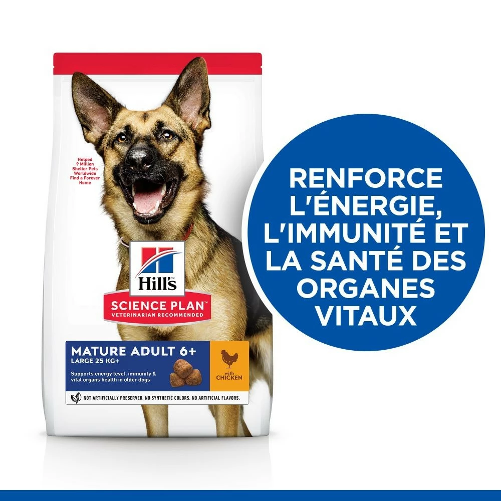 HILL'S Science Plan Large Mature Adult 6+ Au Poulet - Croquettes Pour Chien 2 HILL'S Science Plan Large Mature Adult 6+ Au Poulet - Croquettes Pour Chien – Image 2