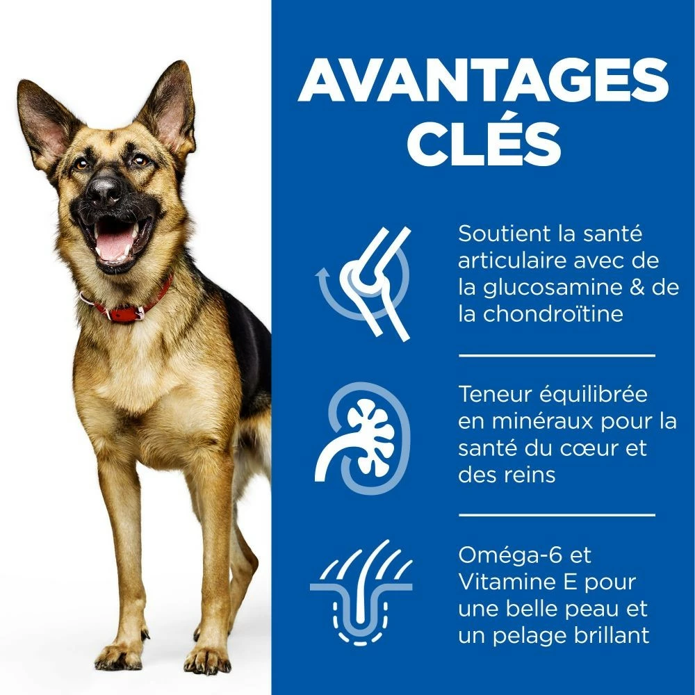 HILL'S Science Plan Large Mature Adult 6+ Au Poulet - Croquettes Pour Chien 3 HILL'S Science Plan Large Mature Adult 6+ Au Poulet - Croquettes Pour Chien – Image 3