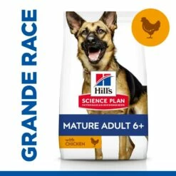 HILL'S Science Plan Large Mature Adult 6+ Au Poulet - Croquettes Pour Chien 9 HILL'S Science Plan Large Mature Adult 6+ Au Poulet - Croquettes Pour Chien -Promos Wanimo Boutique hill s science plan large mature adult au poulet croquettes pour chien 1 3
