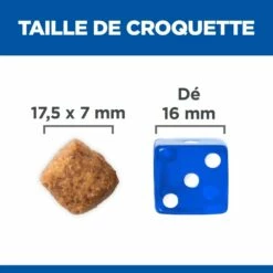 HILL'S Science Plan Large Mature Adult 6+ Au Poulet - Croquettes Pour Chien 10 HILL'S Science Plan Large Mature Adult 6+ Au Poulet - Croquettes Pour Chien -Promos Wanimo Boutique hill s science plan large mature adult au poulet croquettes pour chien 1 4