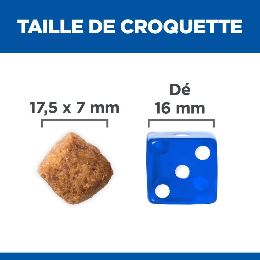 HILL'S Science Plan Large Mature Adult 6+ Au Poulet - Croquettes Pour Chien 5 HILL'S Science Plan Large Mature Adult 6+ Au Poulet - Croquettes Pour Chien – Image 5
