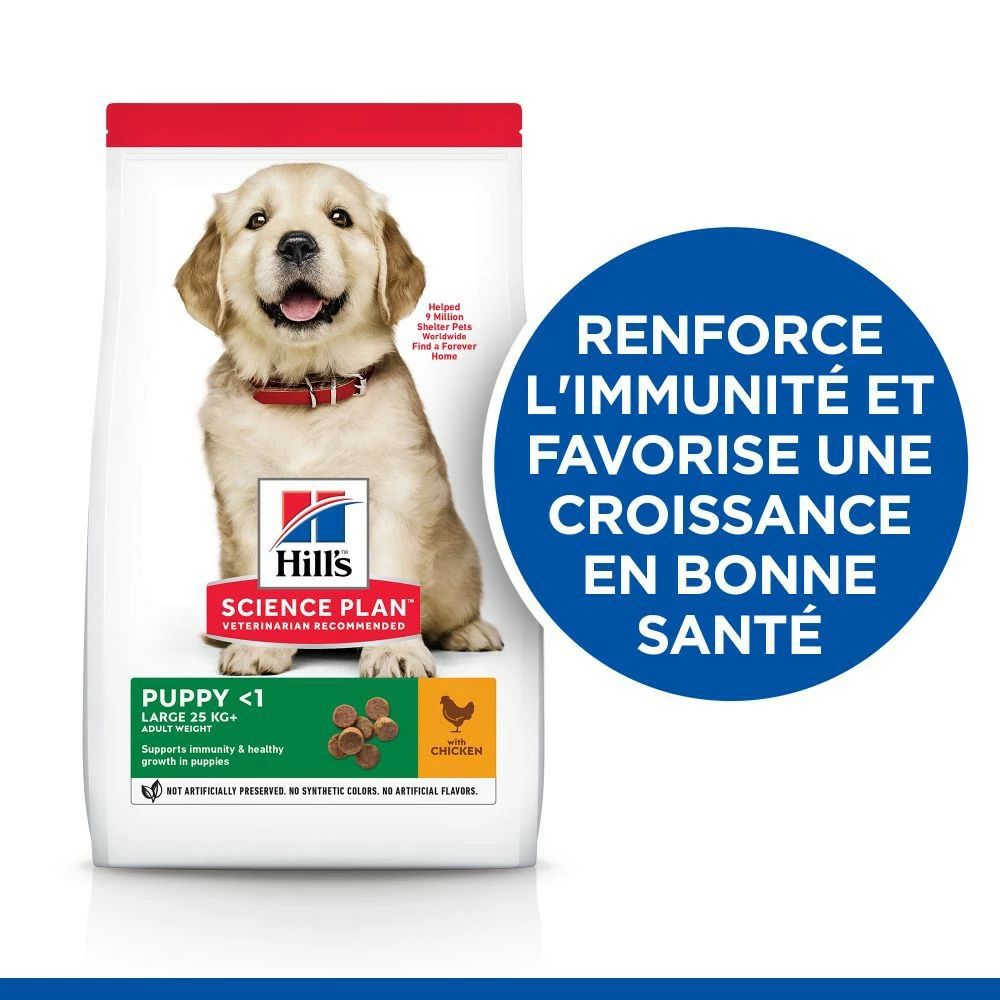 HILL'S Science Plan Large Puppy Au Poulet - Croquettes Pour Chiot 2 HILL'S Science Plan Large Puppy Au Poulet - Croquettes Pour Chiot – Image 2