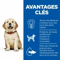 HILL'S Science Plan Large Puppy Au Poulet - Croquettes Pour Chiot 9 HILL'S Science Plan Large Puppy Au Poulet - Croquettes Pour Chiot -Promos Wanimo Boutique hill s science plan large puppy au poulet croquettes pour chiot 1 2