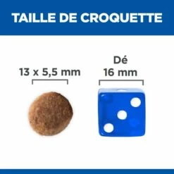 HILL'S Science Plan Large Puppy Au Poulet - Croquettes Pour Chiot 11 HILL'S Science Plan Large Puppy Au Poulet - Croquettes Pour Chiot -Promos Wanimo Boutique hill s science plan large puppy au poulet croquettes pour chiot 1 4