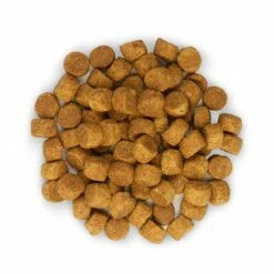 HILL'S Science Plan Large Puppy Au Poulet - Croquettes Pour Chiot 13 HILL'S Science Plan Large Puppy Au Poulet - Croquettes Pour Chiot -Promos Wanimo Boutique hill s science plan large puppy au poulet croquettes pour chiot 1 6