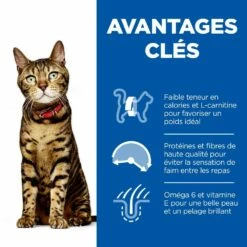 HILL'S Science Plan Light Adult Au Poulet - Croquettes Pour Chat -Promos Wanimo Boutique hill s science plan light adult au poulet croquettes pour chat 1 2