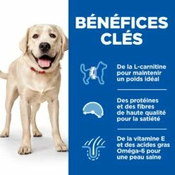 HILL'S Science Plan Light Large Adult Au Poulet - Croquettes Pour Chien -Promos Wanimo Boutique hill s science plan light large adult au poulet croquettes pour chien 1 2