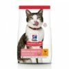 HILL'S Science Plan Light Mature Adult 7+ Au Poulet - Croquettes Pour Chat