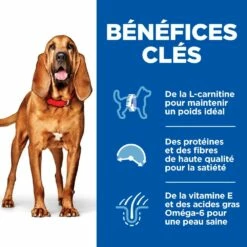 HILL'S Science Plan Light Medium Mature Adult 7+ Au Poulet - Croquettes Pour Chien 9 HILL'S Science Plan Light Medium Mature Adult 7+ Au Poulet - Croquettes Pour Chien -Promos Wanimo Boutique hill s science plan light medium mature adult au poulet croquettes pour chien 1 2