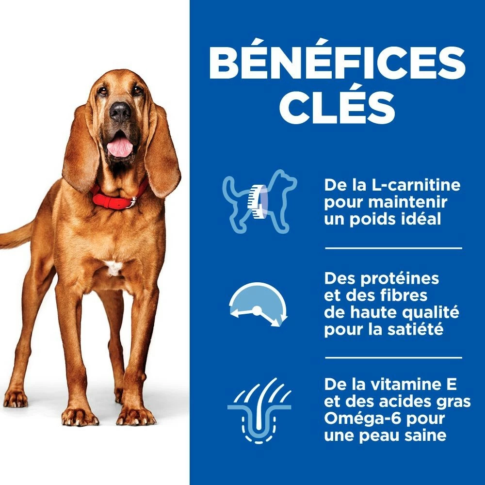 HILL'S Science Plan Light Medium Mature Adult 7+ Au Poulet - Croquettes Pour Chien 3 HILL'S Science Plan Light Medium Mature Adult 7+ Au Poulet - Croquettes Pour Chien – Image 3
