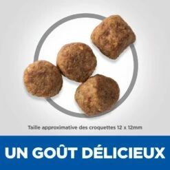 HILL'S Science Plan Light Medium Mature Adult 7+ Au Poulet - Croquettes Pour Chien 11 HILL'S Science Plan Light Medium Mature Adult 7+ Au Poulet - Croquettes Pour Chien -Promos Wanimo Boutique hill s science plan light medium mature adult au poulet croquettes pour chien 1 4