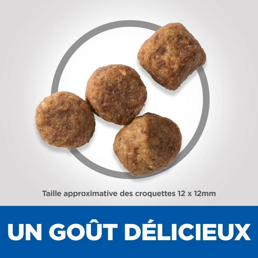 HILL'S Science Plan Light Medium Mature Adult 7+ Au Poulet - Croquettes Pour Chien 5 HILL'S Science Plan Light Medium Mature Adult 7+ Au Poulet - Croquettes Pour Chien – Image 5