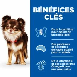 HILL'S Science Plan Light Small & Mini Adult Au Poulet - Croquettes Pour Chien -Promos Wanimo Boutique hill s science plan light small mini adult au poulet croquettes pour chien 1 2
