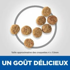 HILL'S Science Plan Light Small & Mini Adult Au Poulet - Croquettes Pour Chien -Promos Wanimo Boutique hill s science plan light small mini adult au poulet croquettes pour chien 1 4