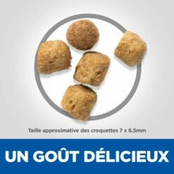 HILL'S Science Plan Mature Adult 7+ Sterilised Au Poulet - Croquettes Pour Chat -Promos Wanimo Boutique hill s science plan mature adult sterilised au poulet croquettes pour chat 1 3