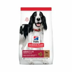 HILL'S Science Plan Medium Adult à L'Agneau - Croquettes Pour Chien