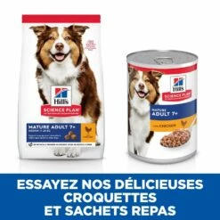 HILL'S Science Plan Medium Mature Adult 7+ Au Poulet - Croquettes Pour Chien -Promos Wanimo Boutique hill s science plan medium mature adult au poulet croquettes pour chien 1 4