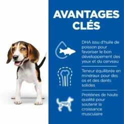 HILL'S Science Plan Medium Puppy Au Poulet - Croquettes Pour Chiot -Promos Wanimo Boutique hill s science plan medium puppy au poulet croquettes pour chiot 1 2
