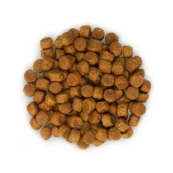 HILL'S Science Plan Medium Puppy Au Poulet - Croquettes Pour Chiot -Promos Wanimo Boutique hill s science plan medium puppy au poulet croquettes pour chiot 1 6