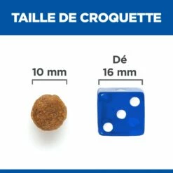 HILL'S Science Plan No Grain All Breed Mature Adult 7+ Au Poulet - Croquettes Pour Chien 12 HILL'S Science Plan No Grain All Breed Mature Adult 7+ Au Poulet - Croquettes Pour Chien -Promos Wanimo Boutique hill s science plan no grain all breed mature adult au poulet croquettes pour chien 1 4